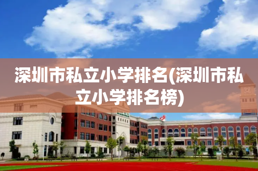 深圳市私立小学排名(深圳市私立小学排名榜)