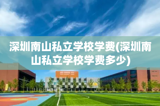深圳南山私立学校学费(深圳南山私立学校学费多少)