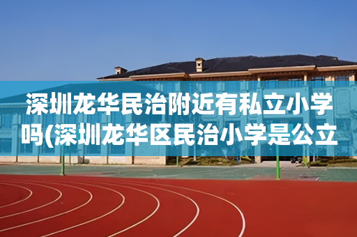 深圳龙华民治附近有私立小学吗(深圳龙华区民治小学是公立学校吗)