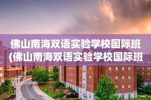 佛山南海双语实验学校国际班(佛山南海双语实验学校国际班怎么样)
