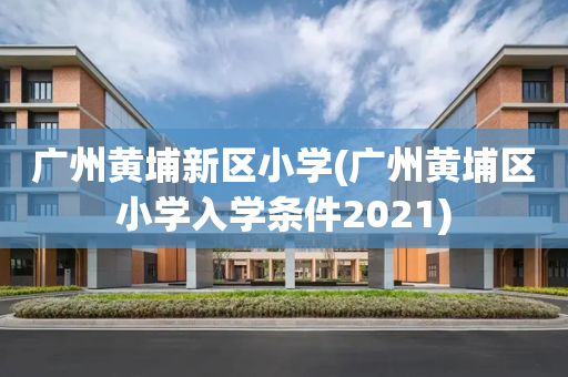 广州黄埔新区小学(广州黄埔区小学入学条件2021)