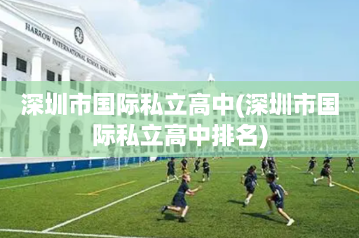 深圳市国际私立高中(深圳市国际私立高中排名)