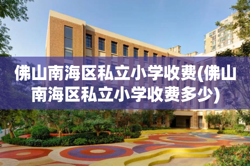 佛山南海区私立小学收费(佛山南海区私立小学收费多少)