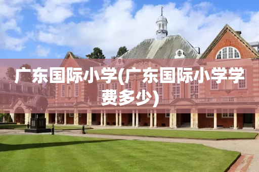 广东国际小学(广东国际小学学费多少)