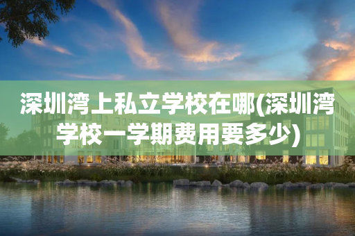 深圳湾上私立学校在哪(深圳湾学校一学期费用要多少)