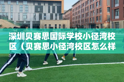 深圳贝赛思国际学校小径湾校区（贝赛思小径湾校区怎么样）