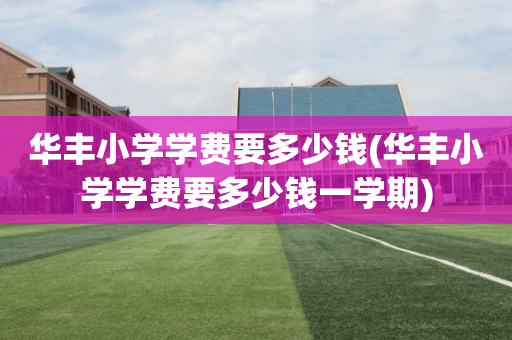 华丰小学学费要多少钱(华丰小学学费要多少钱一学期)
