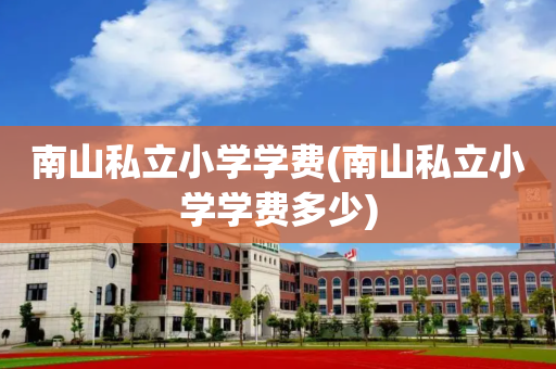 南山私立小学学费(南山私立小学学费多少)