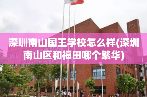 深圳南山国王学校怎么样(深圳南山区和福田哪个繁华)