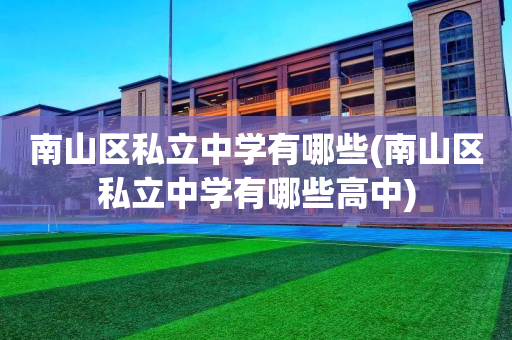 南山区私立中学有哪些(南山区私立中学有哪些高中)