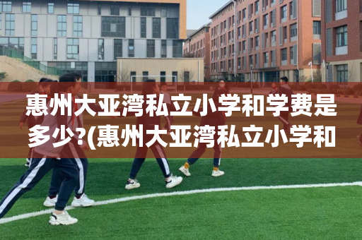惠州大亚湾私立小学和学费是多少?(惠州大亚湾私立小学和学费是多少钱一年)