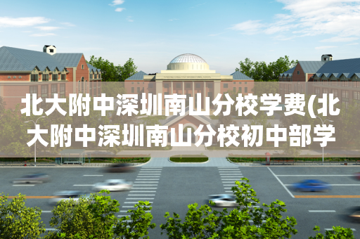 北大附中深圳南山分校学费(北大附中深圳南山分校初中部学费)