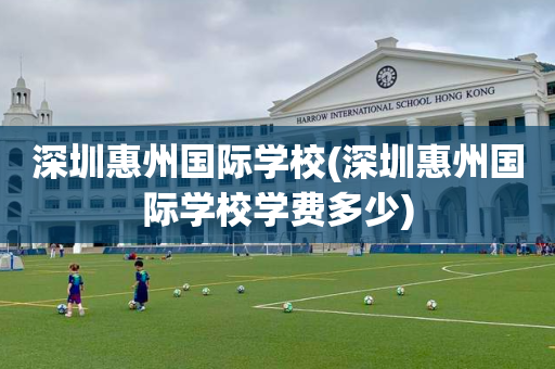深圳惠州国际学校(深圳惠州国际学校学费多少)