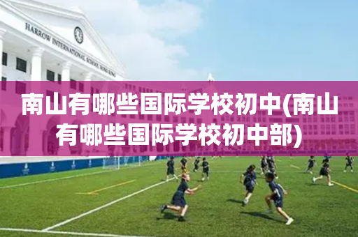 南山有哪些国际学校初中(南山有哪些国际学校初中部)