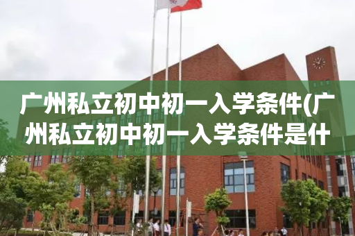 广州私立初中初一入学条件(广州私立初中初一入学条件是什么)