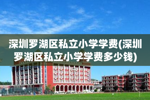 深圳罗湖区私立小学学费(深圳罗湖区私立小学学费多少钱)