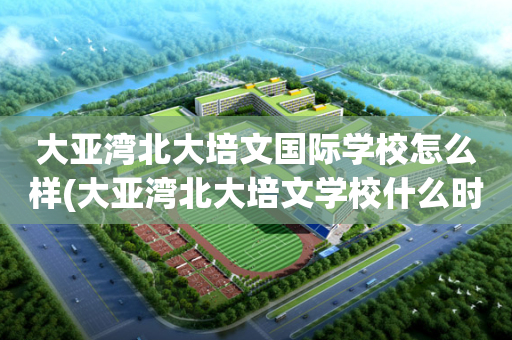 大亚湾北大培文国际学校怎么样(大亚湾北大培文学校什么时候成立的)