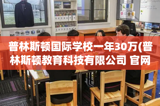 普林斯顿国际学校一年30万(普林斯顿教育科技有限公司 官网)