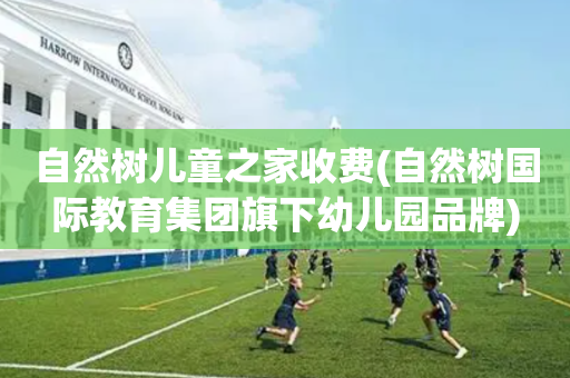 自然树儿童之家收费(自然树国际教育集团旗下幼儿园品牌)