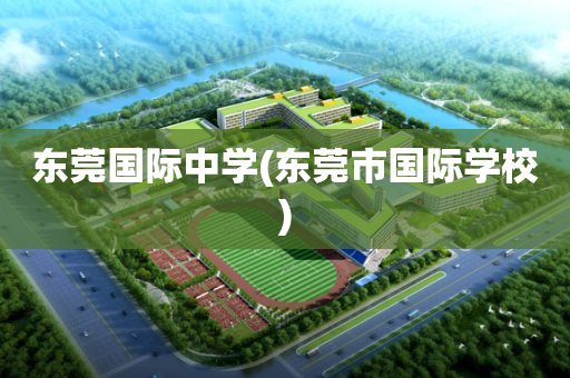 东莞国际中学(东莞市国际学校)