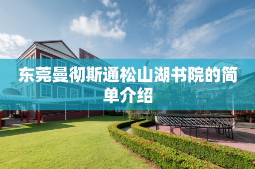 东莞曼彻斯通松山湖书院的简单介绍