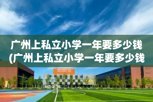 广州上私立小学一年要多少钱(广州上私立小学一年要多少钱费用)