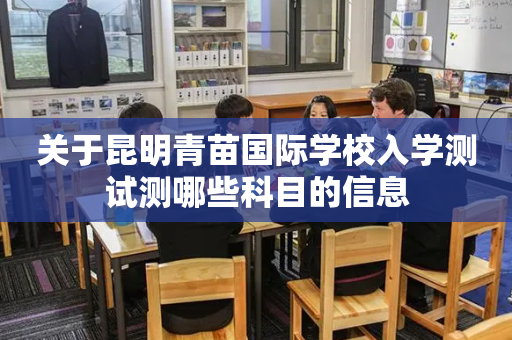 关于昆明青苗国际学校入学测试测哪些科目的信息
