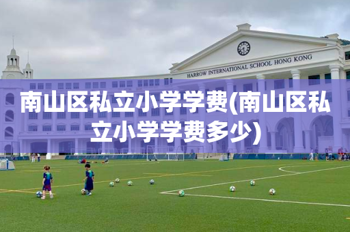 南山区私立小学学费(南山区私立小学学费多少)