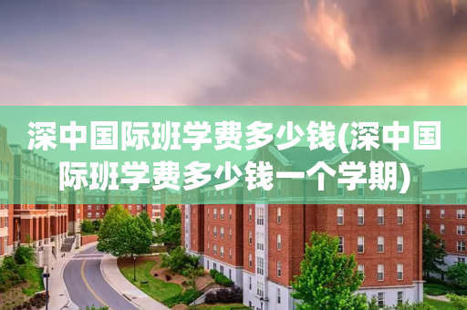 深中国际班学费多少钱(深中国际班学费多少钱一个学期)