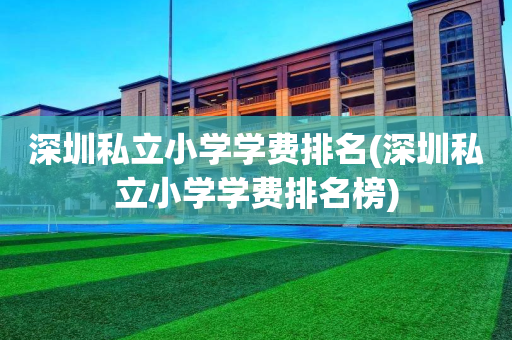 深圳私立小学学费排名(深圳私立小学学费排名榜)