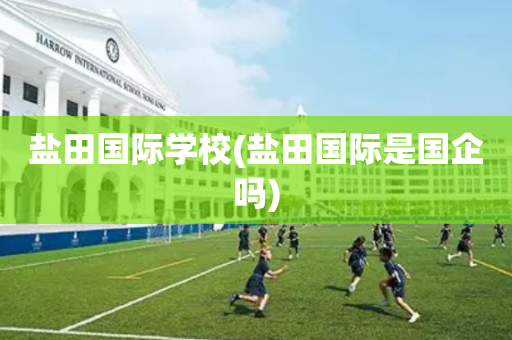 盐田国际学校(盐田国际是国企吗)
