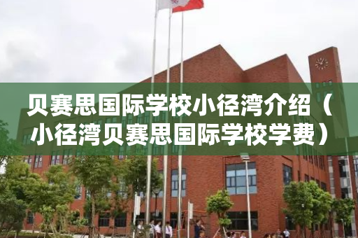 贝赛思国际学校小径湾介绍（小径湾贝赛思国际学校学费）