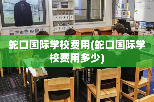 蛇口国际学校费用(蛇口国际学校费用多少)