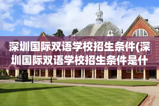 深圳国际双语学校招生条件(深圳国际双语学校招生条件是什么)