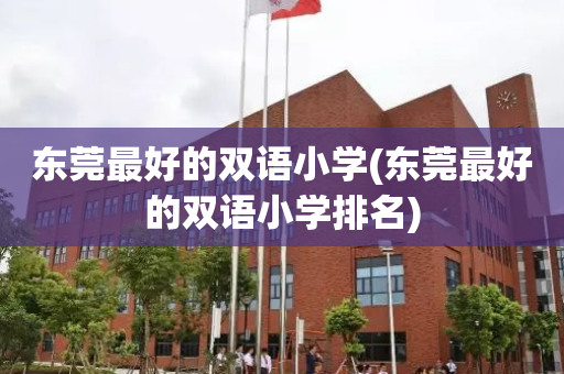 东莞最好的双语小学(东莞最好的双语小学排名)