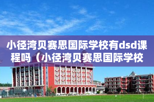 小径湾贝赛思国际学校有dsd课程吗（小径湾贝赛思国际学校很不好）