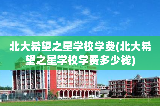 北大希望之星学校学费(北大希望之星学校学费多少钱)