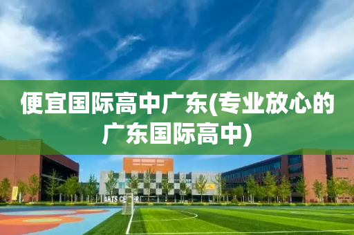 便宜国际高中广东(专业放心的广东国际高中)