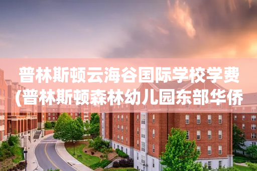 普林斯顿云海谷国际学校学费(普林斯顿森林幼儿园东部华侨城)