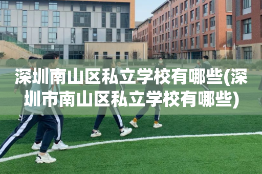 深圳南山区私立学校有哪些(深圳市南山区私立学校有哪些)