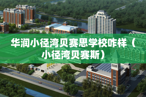 华润小径湾贝赛思学校咋样（小径湾贝赛斯）