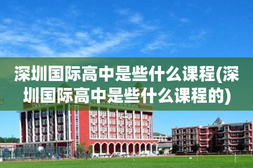 深圳国际高中是些什么课程(深圳国际高中是些什么课程的)