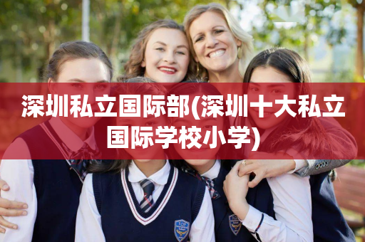 深圳私立国际部(深圳十大私立国际学校小学)