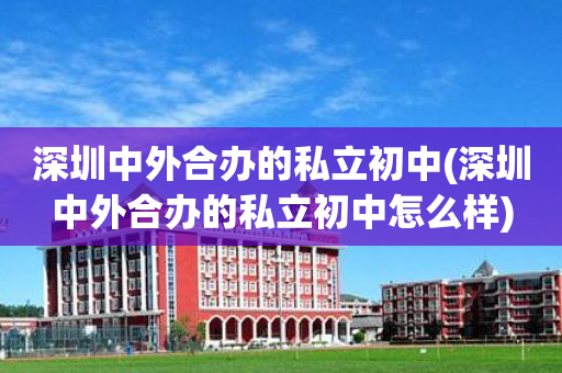 深圳中外合办的私立初中(深圳中外合办的私立初中怎么样)