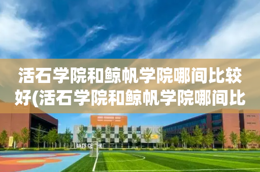 活石学院和鲸帆学院哪间比较好(活石学院和鲸帆学院哪间比较好就业)