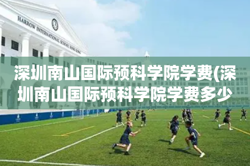 深圳南山国际预科学院学费(深圳南山国际预科学院学费多少钱)