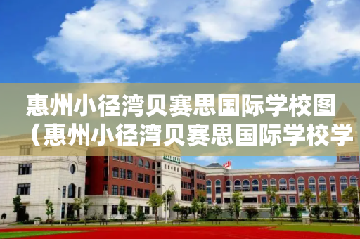 惠州小径湾贝赛思国际学校图（惠州小径湾贝赛思国际学校学费）