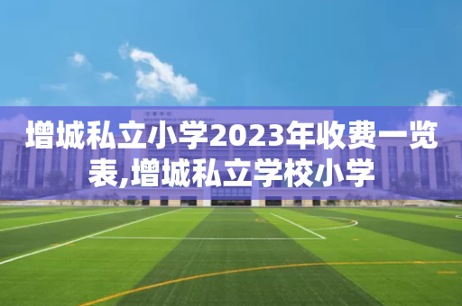 增城私立小学2023年收费一览表,增城私立学校小学