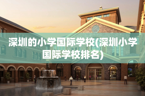 深圳的小学国际学校(深圳小学国际学校排名)