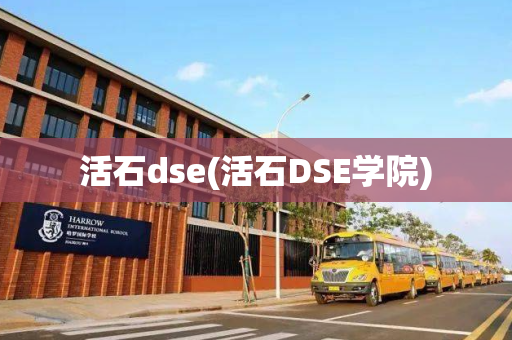 活石dse(活石DSE学院)
